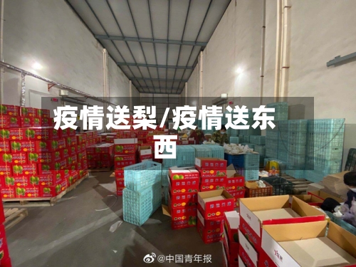疫情送梨/疫情送东西-第1张图片