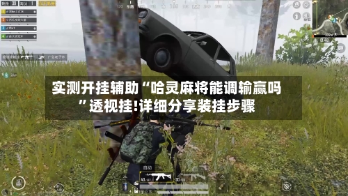 实测开挂辅助“哈灵麻将能调输赢吗	”透视挂!详细分享装挂步骤-第2张图片