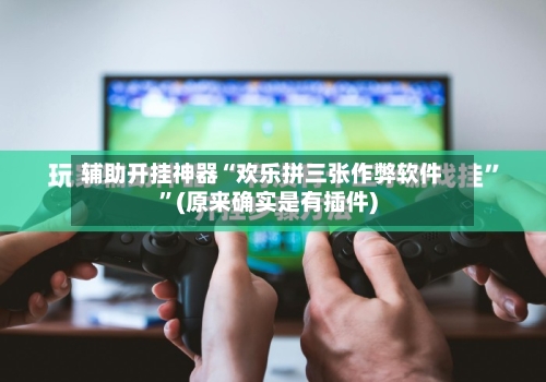 辅助开挂神器“欢乐拼三张作弊软件”(原来确实是有插件)-第2张图片