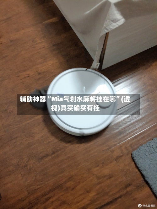 辅助神器“Mia气划水麻将挂在哪”(透视)其实确实有挂-第2张图片