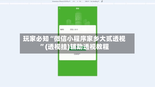 玩家必知“微信小程序家乡大贰透视	”(透视挂)辅助透视教程-第3张图片