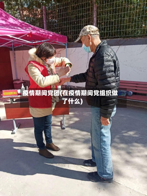 疫情期间党团(在疫情期间党组织做了什么)-第1张图片
