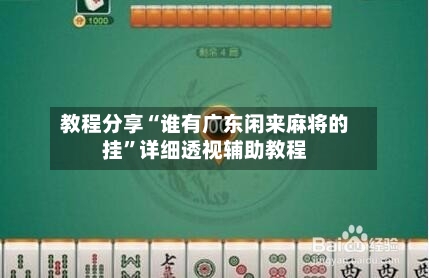 教程分享“谁有广东闲来麻将的挂”详细透视辅助教程-第1张图片
