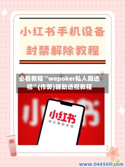 必看教程“wepoker私人局透视”(作弊)辅助透视教程-第3张图片