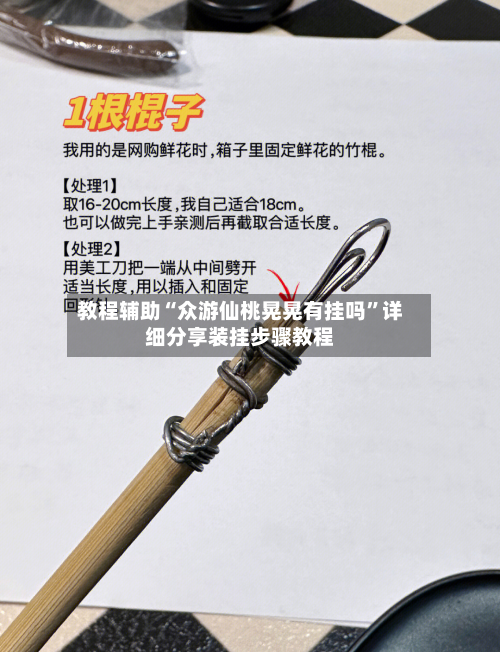 教程辅助“众游仙桃晃晃有挂吗	”详细分享装挂步骤教程-第2张图片