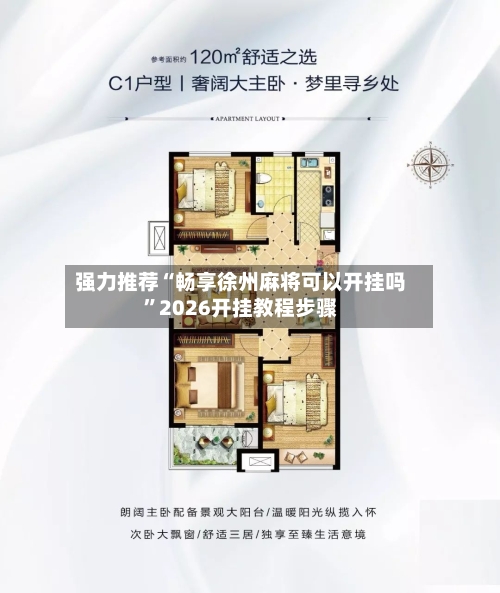 强力推荐“畅享徐州麻将可以开挂吗	”2026开挂教程步骤-第3张图片