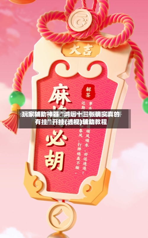 玩家辅助神器“鸿运十三张确实真的有挂	”开挂(透视)辅助教程-第3张图片