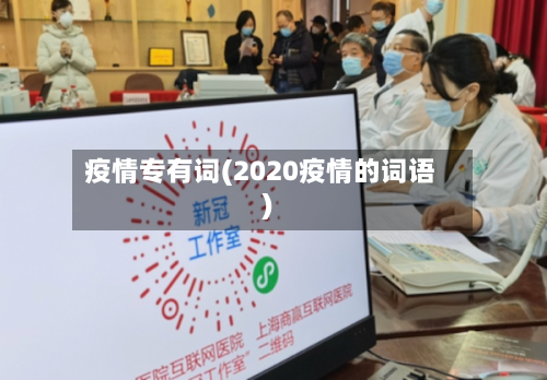 疫情专有词(2020疫情的词语)-第1张图片