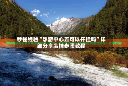 秒懂经验“想游中心五可以开挂吗”详细分享装挂步骤教程-第1张图片