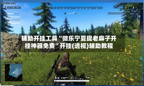 辅助开挂工具“微乐宁夏捉老麻子开挂神器免费	”开挂(透视)辅助教程-第2张图片