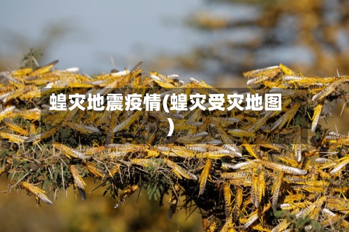 蝗灾地震疫情(蝗灾受灾地图)-第1张图片