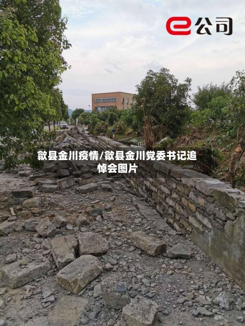 歙县金川疫情/歙县金川党委书记追悼会图片-第1张图片