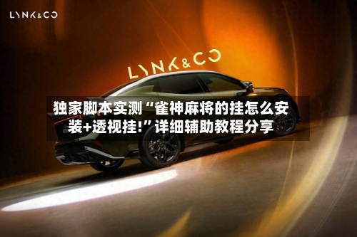 独家脚本实测“雀神麻将的挂怎么安装+透视挂!”详细辅助教程分享-第3张图片