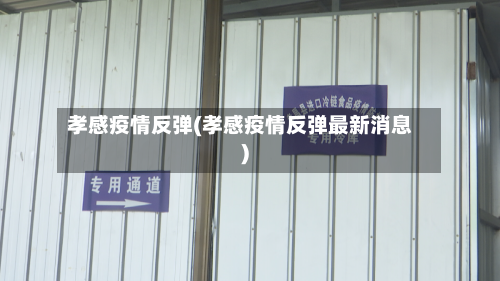 孝感疫情反弹(孝感疫情反弹最新消息)-第2张图片
