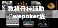 教程开挂辅助“wepoker透视辅助软件挂使用教程”开挂(透视)辅助教程-第1张图片