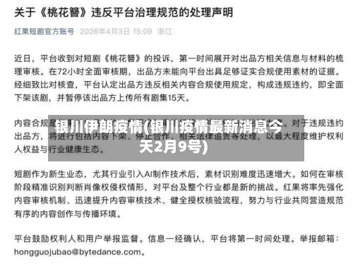 银川伊朗疫情(银川疫情最新消息今天2月9号)-第1张图片