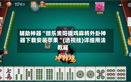 辅助神器“微乐贵阳捉鸡麻将外卦神器下载安装苹果“(透视挂)详细用法教程-第2张图片