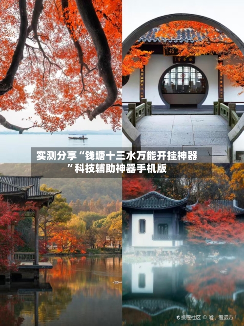 实测分享“钱塘十三水万能开挂神器”科技辅助神器手机版-第2张图片