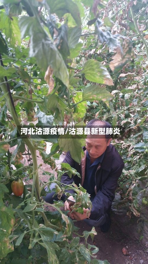 河北沽源疫情/沽源县新型肺炎-第1张图片