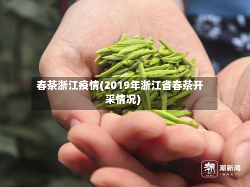 春茶浙江疫情(2019年浙江省春茶开采情况)-第3张图片