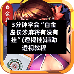 3分钟学会“白金岛长沙麻将有没有挂	”(透视挂)辅助透视教程-第3张图片