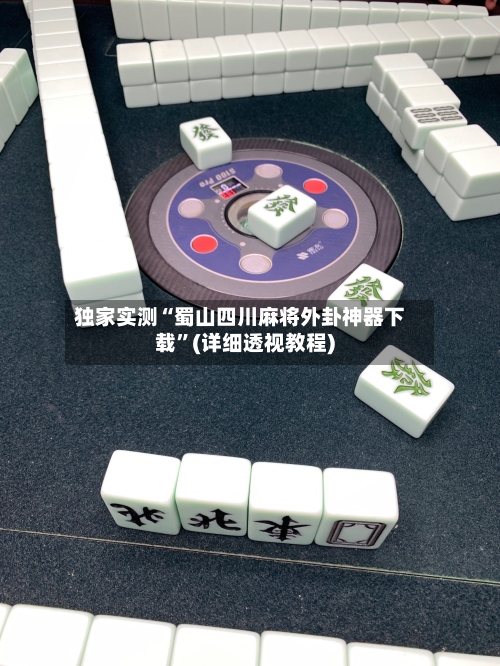 独家实测“蜀山四川麻将外卦神器下载”(详细透视教程)-第3张图片