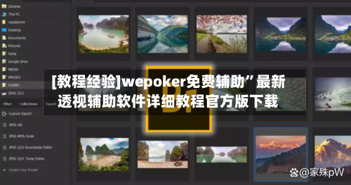 [教程经验]wepoker免费辅助”最新透视辅助软件详细教程官方版下载-第1张图片