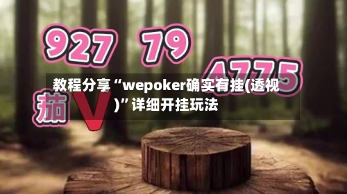 教程分享“wepoker确实有挂(透视)”详细开挂玩法-第2张图片