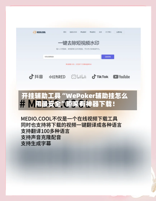 开挂辅助工具“WePoker辅助挂怎么用最安全”原来有神器下载！-第2张图片