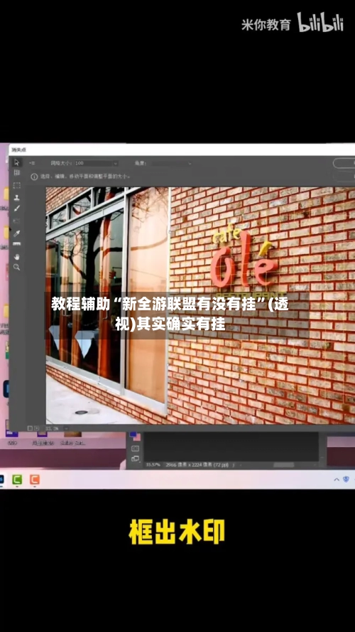 教程辅助“新全游联盟有没有挂”(透视)其实确实有挂-第1张图片