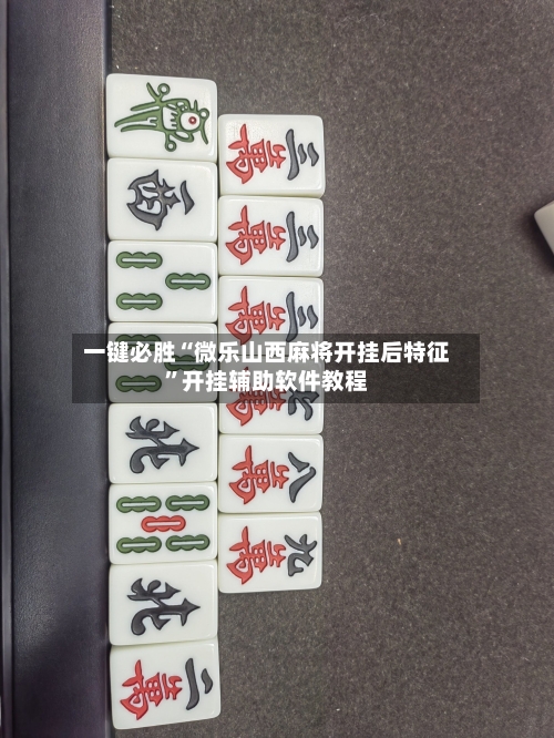 一键必胜“微乐山西麻将开挂后特征	”开挂辅助软件教程-第2张图片