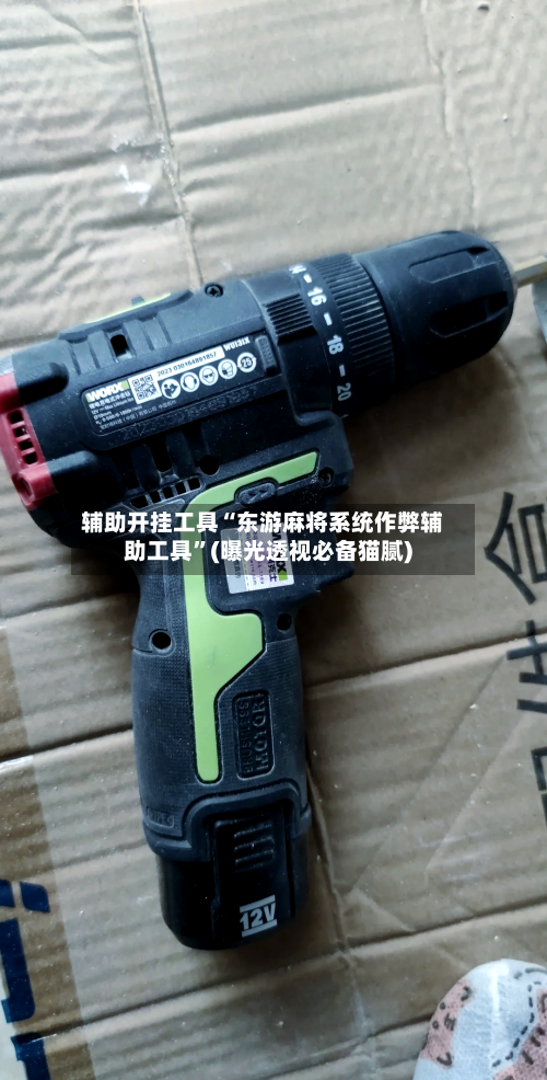 辅助开挂工具“东游麻将系统作弊辅助工具	”(曝光透视必备猫腻)-第3张图片