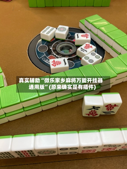 真实辅助“微乐家乡麻将万能开挂器通用版	”(原来确实是有插件)-第1张图片