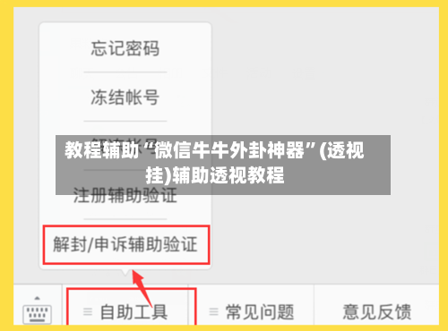 教程辅助“微信牛牛外卦神器”(透视挂)辅助透视教程-第3张图片
