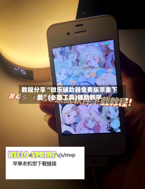 教程分享“微乐辅助器免费版苹果下载”(必备工具)辅助教学-第3张图片