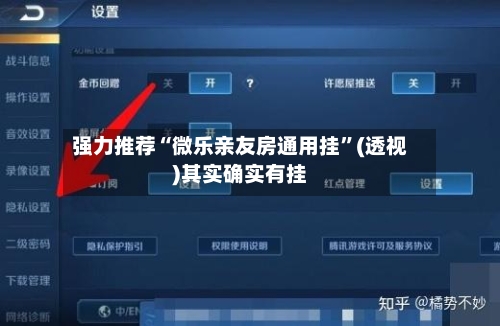 强力推荐“微乐亲友房通用挂”(透视)其实确实有挂-第2张图片