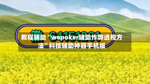 教程辅助“wepoker辅助作弊透视方法	”科技辅助神器手机版-第1张图片