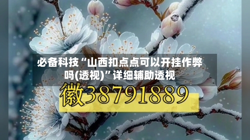 必备科技“山西扣点点可以开挂作弊吗(透视)”详细辅助透视-第3张图片