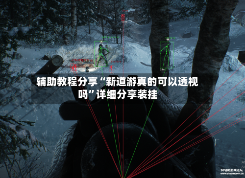 辅助教程分享“新道游真的可以透视吗	”详细分享装挂-第1张图片