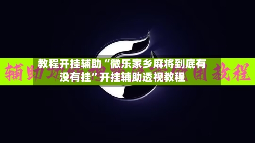 教程开挂辅助“微乐家乡麻将到底有没有挂”开挂辅助透视教程-第3张图片