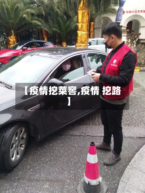 【疫情挖菜窖,疫情 挖路】-第1张图片