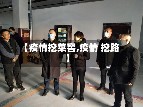 【疫情挖菜窖,疫情 挖路】-第2张图片