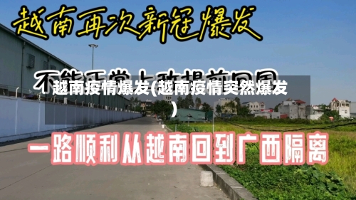越南疫情爆发(越南疫情突然爆发)-第3张图片