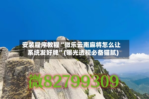 安装程序教程“微乐云南麻将怎么让系统发好牌”(曝光透视必备猫腻)-第3张图片