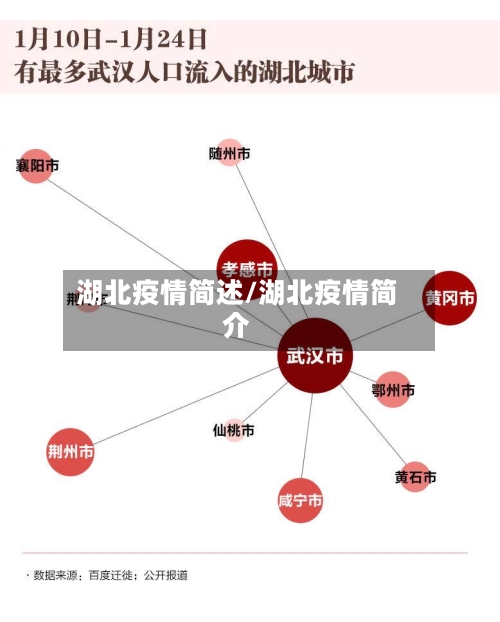 湖北疫情简述/湖北疫情简介-第1张图片