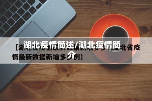 湖北疫情简述/湖北疫情简介-第3张图片