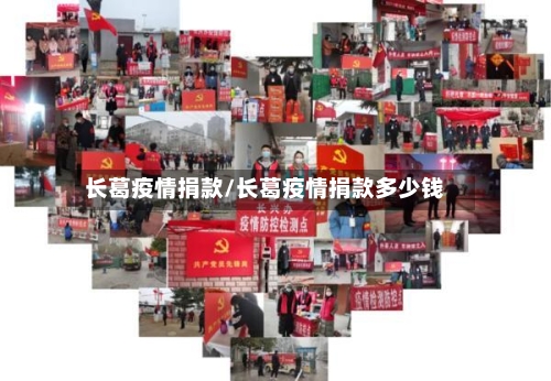 长葛疫情捐款/长葛疫情捐款多少钱-第2张图片