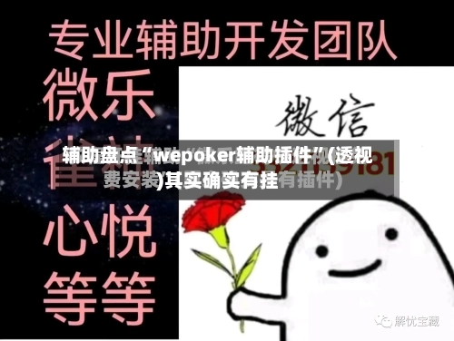 辅助盘点“wepoker辅助插件”(透视)其实确实有挂-第2张图片