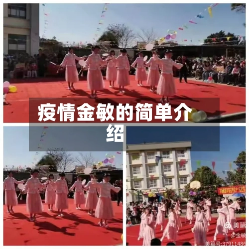 疫情金敏的简单介绍-第2张图片