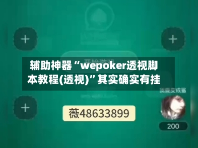 辅助神器“wepoker透视脚本教程(透视)”其实确实有挂-第2张图片